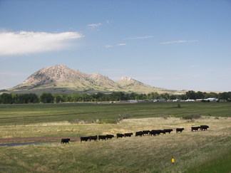Bear Butte