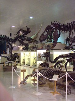 Black Hills Institute