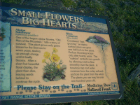 Marker, Alpine Meadow, Snowy Range Road, Medicine Bow NF