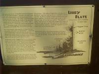 Marker, Krummholz, Snowy Range Road, Medicine Bow NF