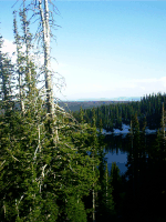 Snowy Range Road, Medicine Bow National Forest