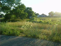 Meramec Caverns Barn, Cayuga, IL