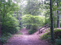 Natchez Trace, Mantee, MS