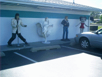 Polk-A-Dot Drive-In,  Braidwood, IL