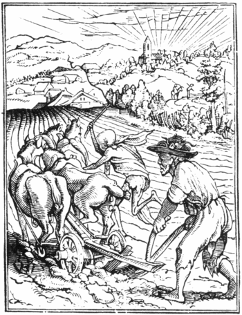 Woodcut:  The Husbandman