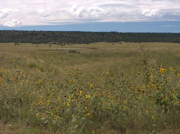 Civil War Earthworks