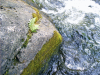 Bull Falls, Pike River, WI