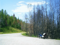 Fire Kill, Glacier Park