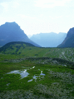 Meadow, Logan Pass, Glacier Park