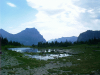 Near Logan Pass, Glacier Park